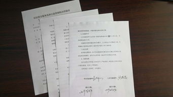 龙沙区法院与人保财险齐分公司签订 诉讼保全 及 执行悬赏 保险合作协议