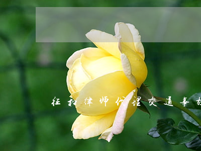 征和律师代理交通事故赔偿纠纷案-找处理交通事故赔偿律师(8日更新中)