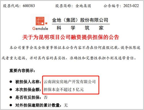 负债约10亿 金地十一峯5亿,集团做担保