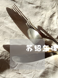 苏绍东律师-苏东戈 律师(4月更新中)