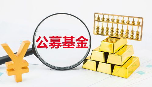 30亿 公募一哥 张坤重磅基金调仓 释放了什么信号