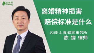 诉讼离婚律师的收费标准是什么