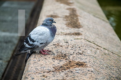 保险合同纠纷时效多久-保险合同起诉期限