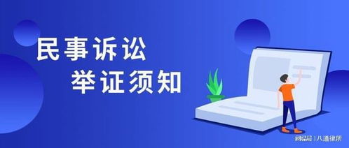 诉讼过程中举证的基本原则