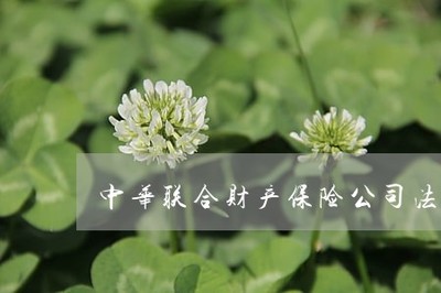 中华联合财产保险公律事务科-中华联合财产保险公司(今日推荐)