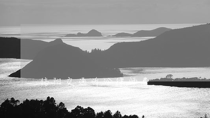 信阳地区交通事故诉讼中律师费与财产保险理赔指引